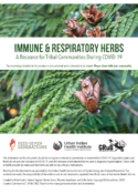 Immune & Respiratory Herbs