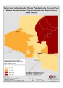 American Indian/Alaska Native Population by Census Tract: Native Americans for Community Action Service Area, 2010 Census