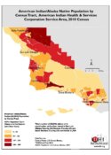 American Indian/Alaska Native Population by Census Tract: American Indian Health & Services Corporation Service Area, 2010 Census