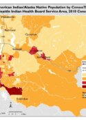American Indian/Alaska Native Population by Census Tract - Seattle Indian Health Board Service Area, Seattle WA, 2010 Census