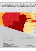 American Indian/Alaska Native Population by Census Tract: Tucson Indian Center Service Area, 2010 Census